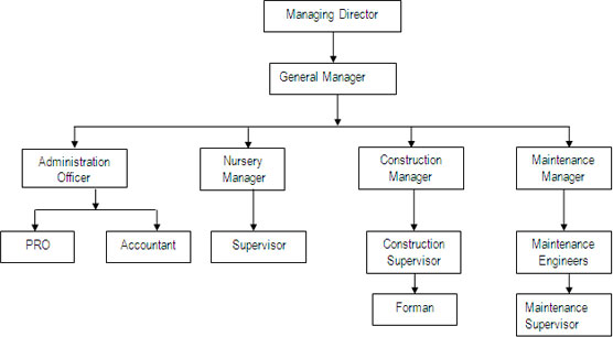 org chart